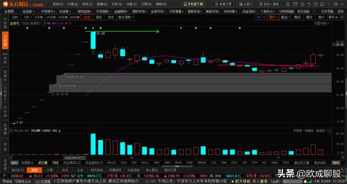 深度解析 金现代，电力软件行业中的“广联达”，能否实现10年10倍？